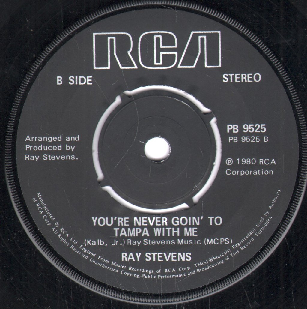 Ray Stevens - Hey There - 7 Inch