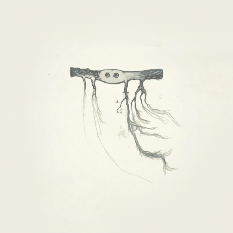 Jose Gonzalez - In Our Nature - Lp