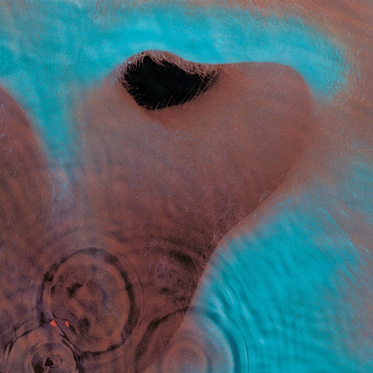 Pink Floyd - Meddle - Lp