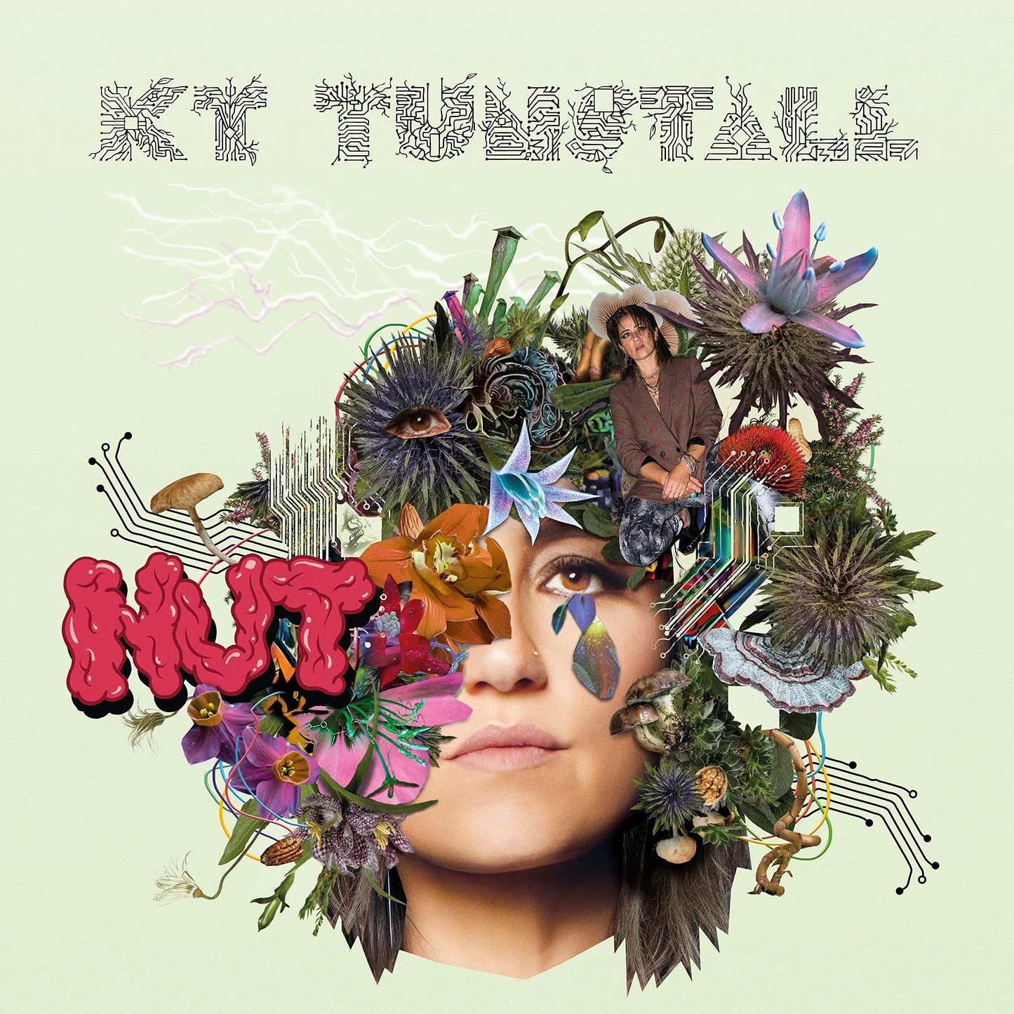 KT Tunstall - Nut - Lp