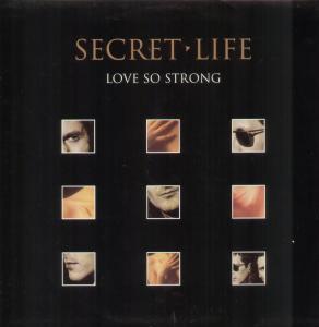 Secret Life - Love So Strong - 12 Inch