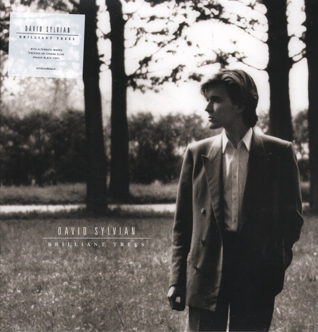 David Sylvian - Brilliant Trees - Lp