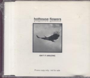 Hothouse Flowers - Isn't It Amazing - Cd