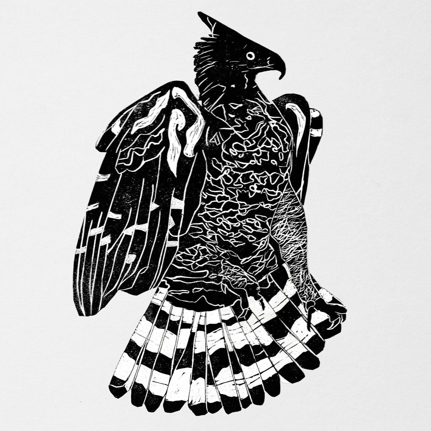 Alpha Steppa and Nai-Jah - Crowned Eagle - Double Lp