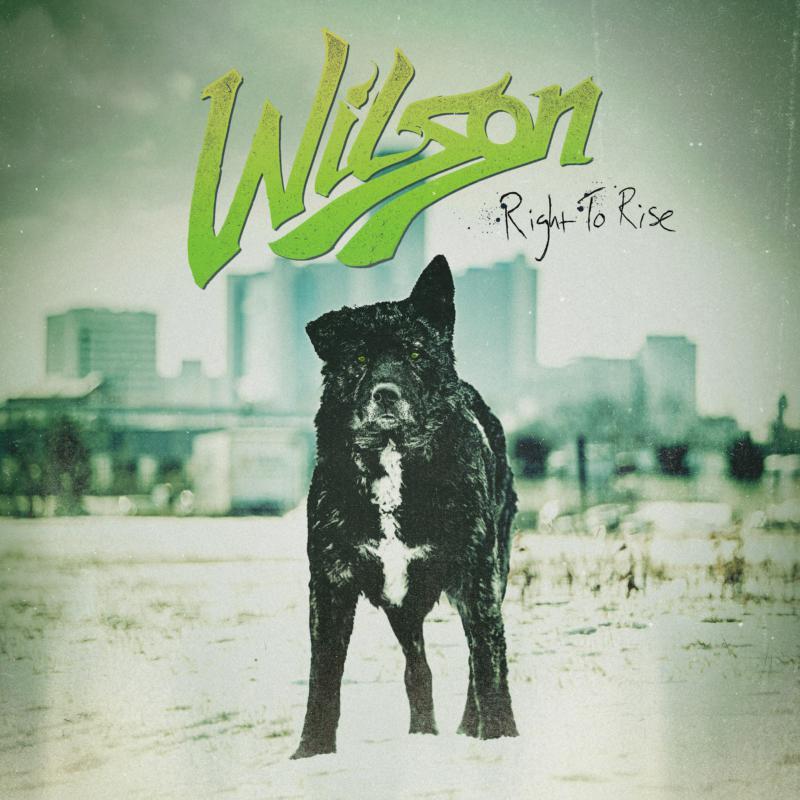 Wilson - Right To Rise - Cd