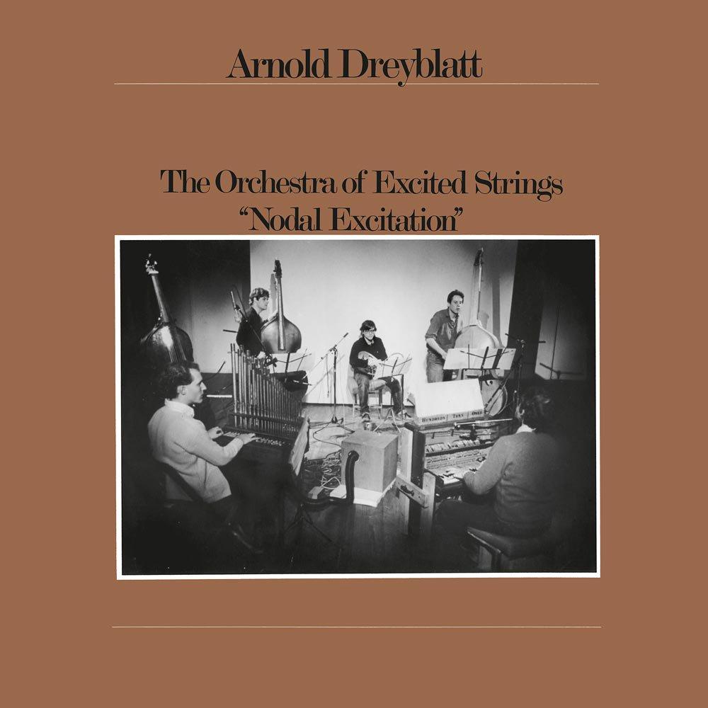 Arnold Dreyblatt - Nodal Excitation - Lp