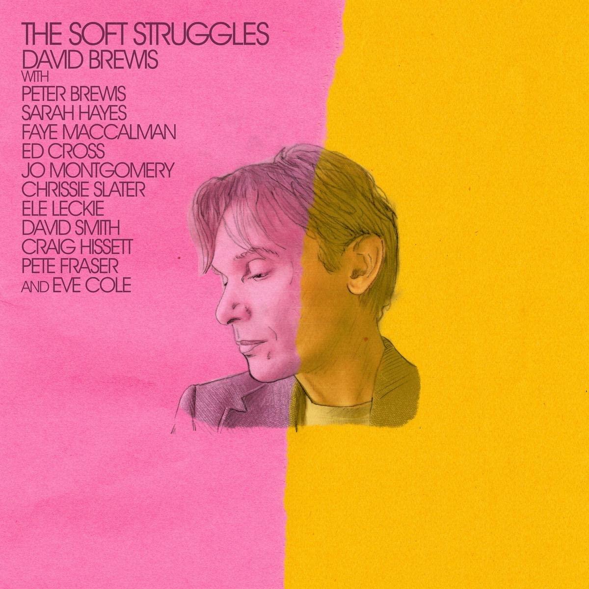 David Brewis - Soft Struggles - Cd