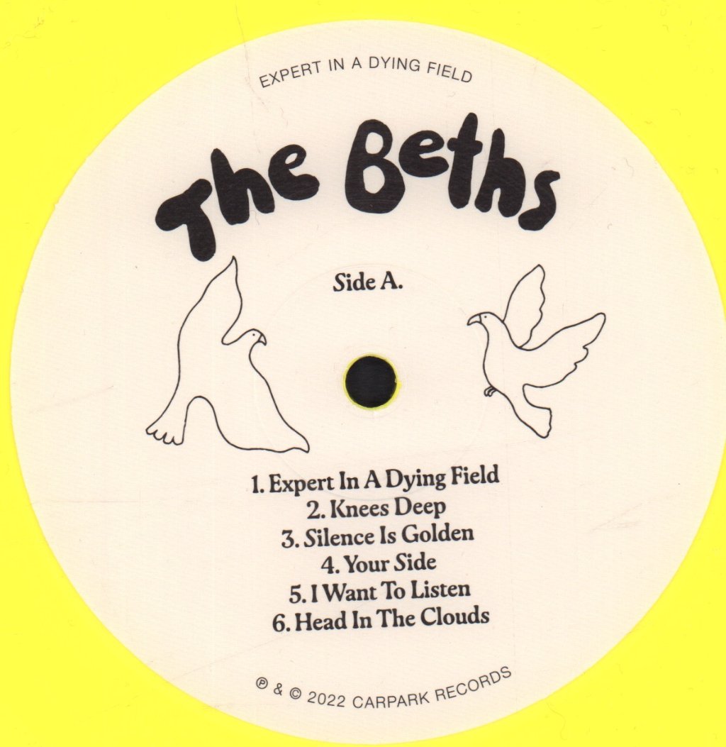 Beths - Expert In A Dying Field - Lp