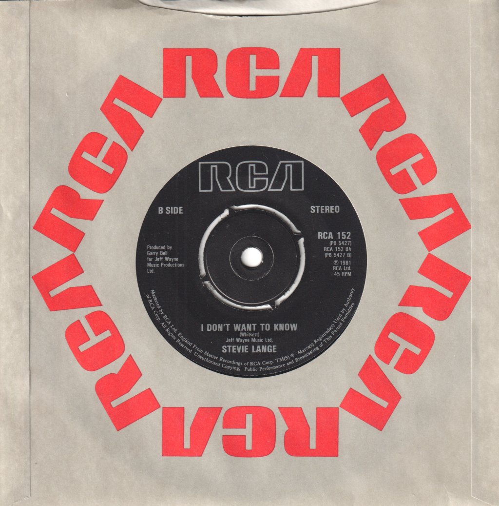 Stevie Lange - Remember My Name - 7 Inch