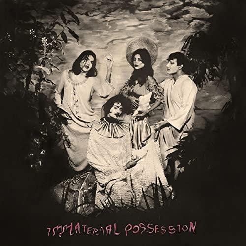 Immaterial Possession - Immaterial Possession - Lp