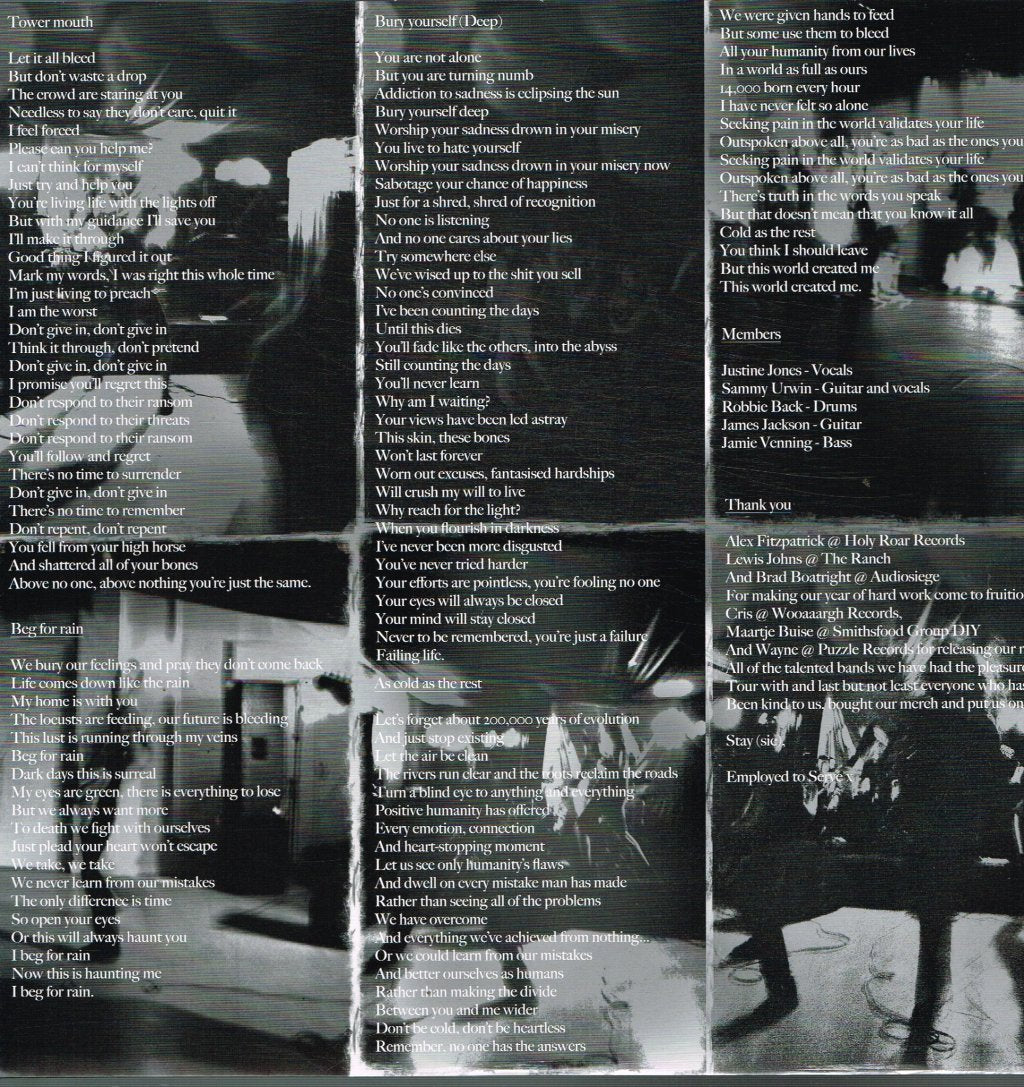 Employed To Serve - Greyer Than You Remember - Lp