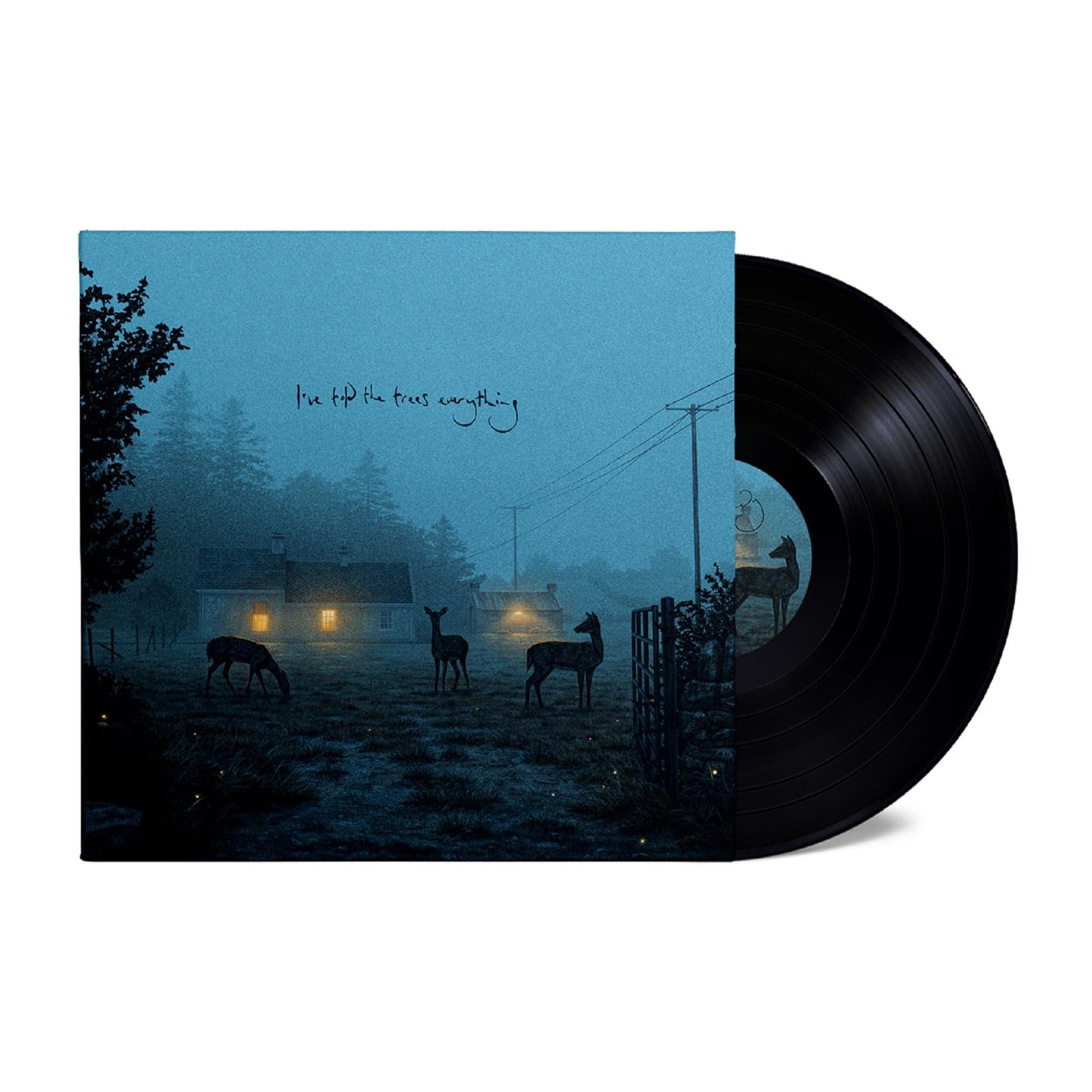 Dermot Kennedy - I've Told the Trees Everything - 12 Inch