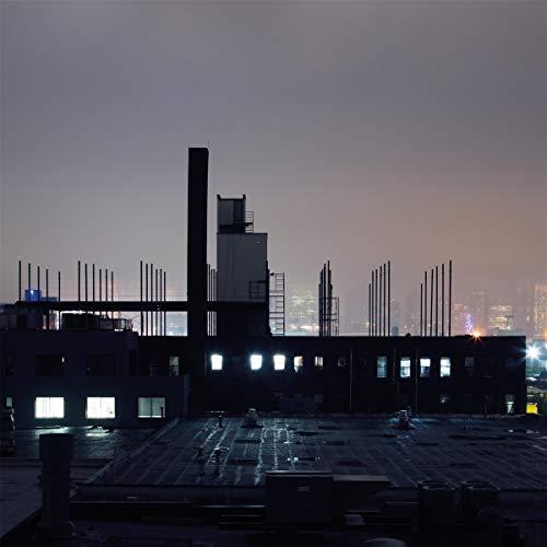 Remo Seeland - Hollow Body - Lp