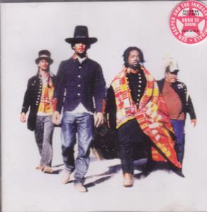 Ben Harper And The Innocent Criminals - Burn To Shine - Cd