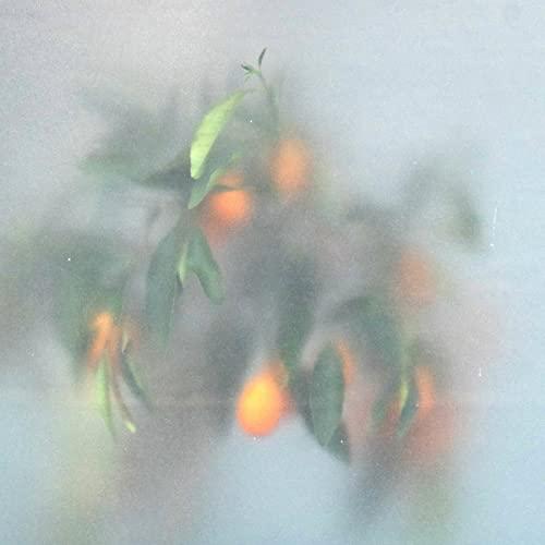 U-Ziq and Mrs Jynx - Secret Garden - Cd