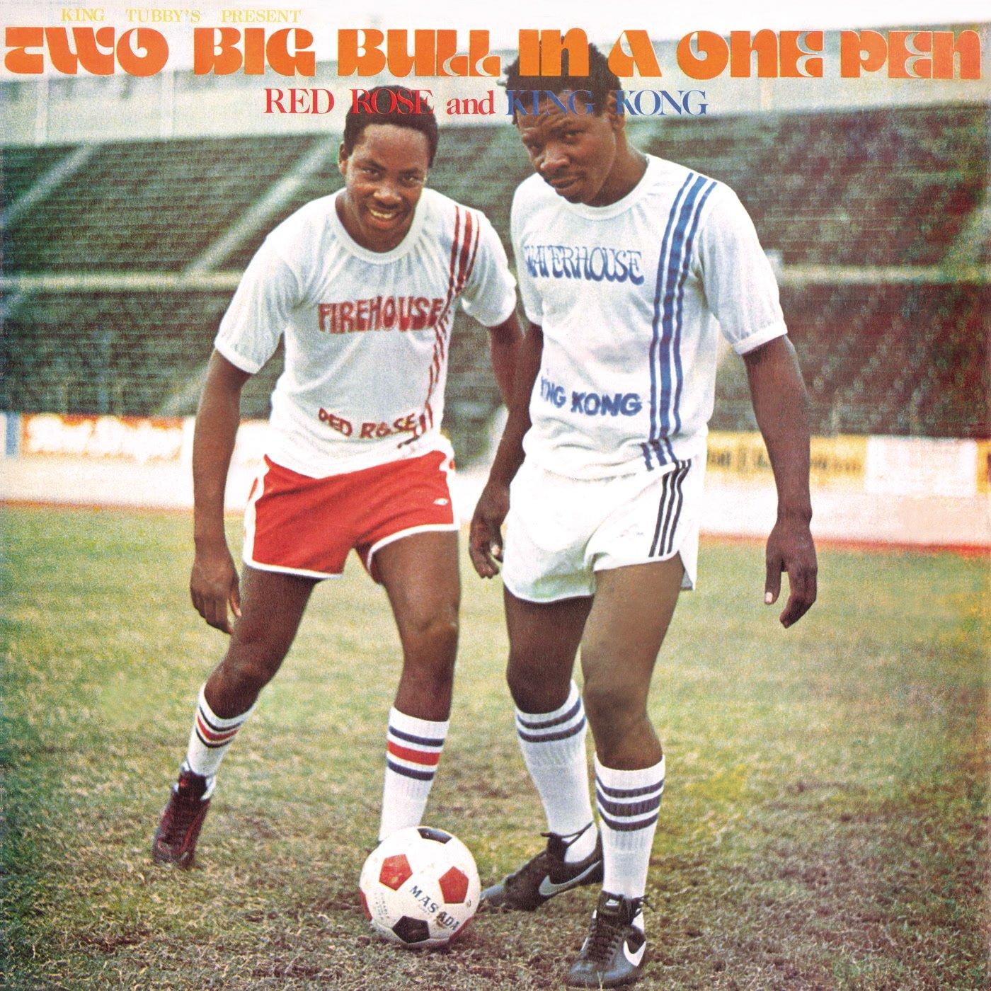 Anthony Red Rose & King Kong - King Tubby's Present: Two Big Bull In A One Pen - Cd