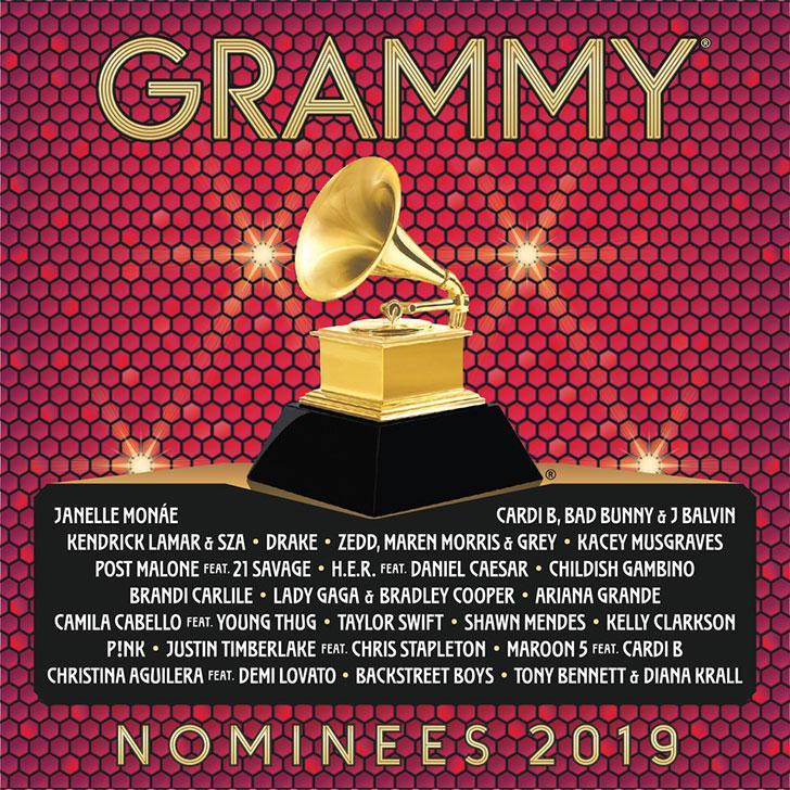 Various Artists - 2019 Grammy® Nominees - Cd