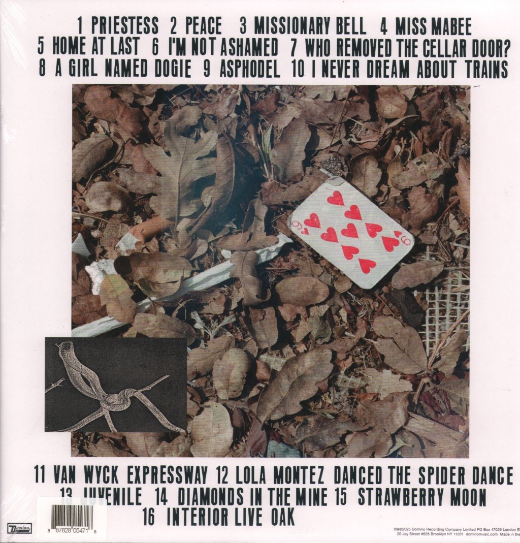 Cass Mccombs - Interior Live Oak - Double Lp