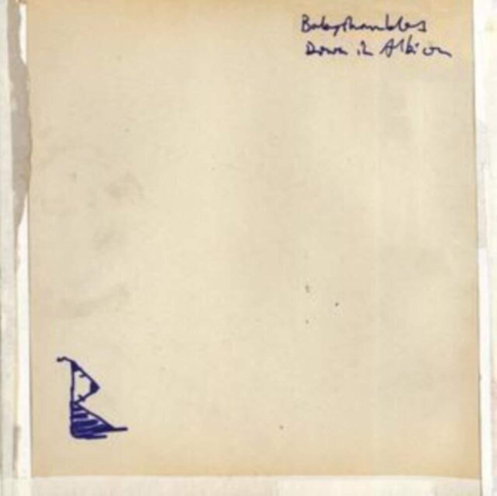 Babyshambles - Down In Albion - Cd