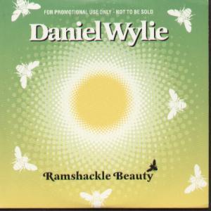 Daniel Wylie - Ramshackle Beauty - Cd