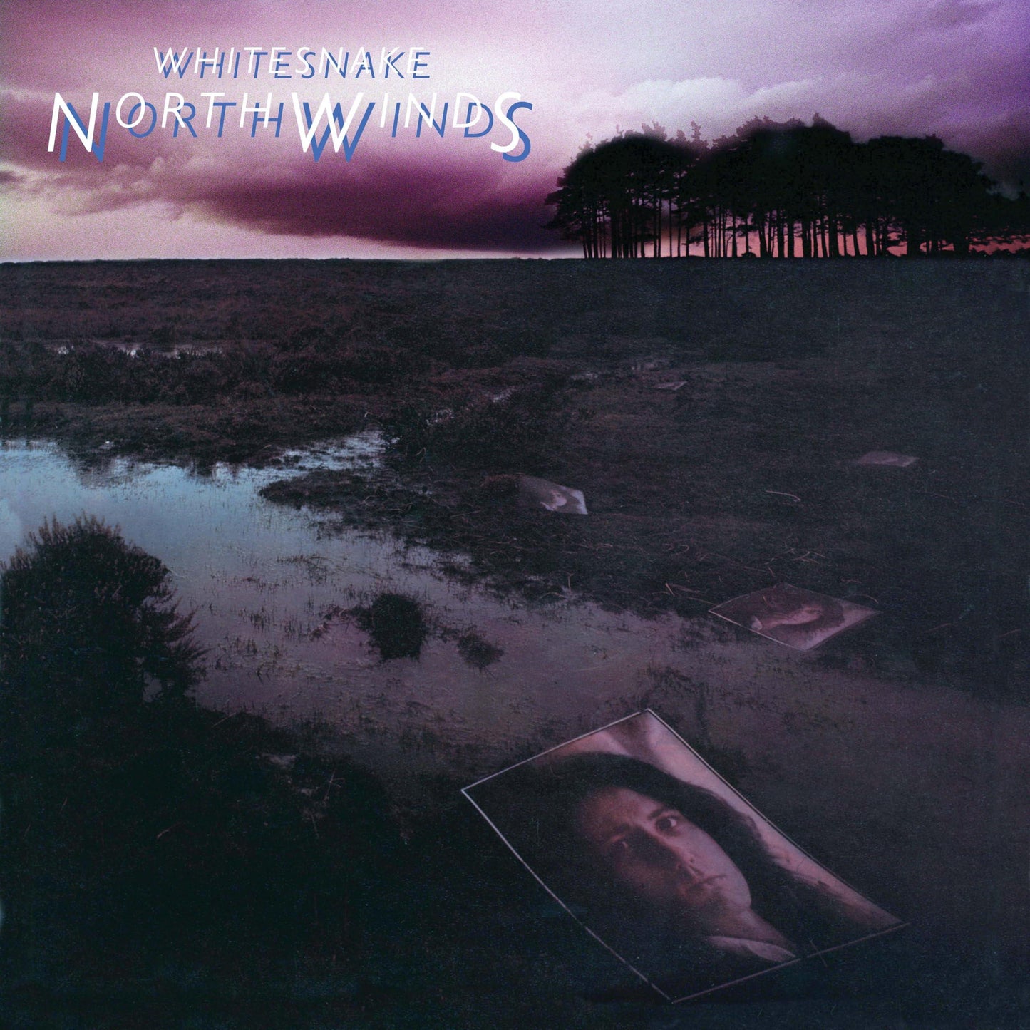 Whitesnake - North Winds - Lp