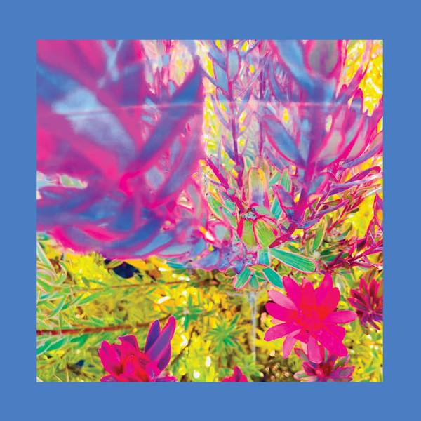 Reds Pinks and Purples - Past Is A Garden I Never Fed - Cd