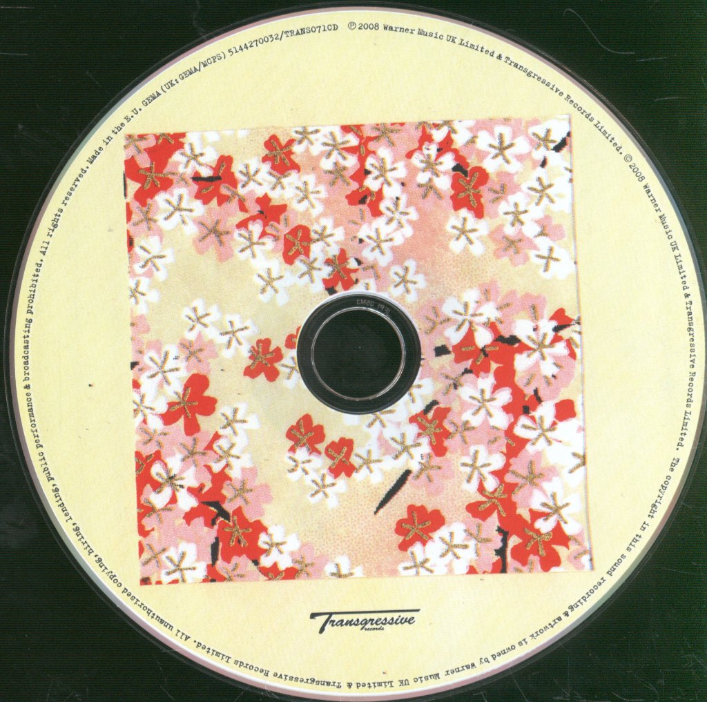 Foals - Antidotes - Cd
