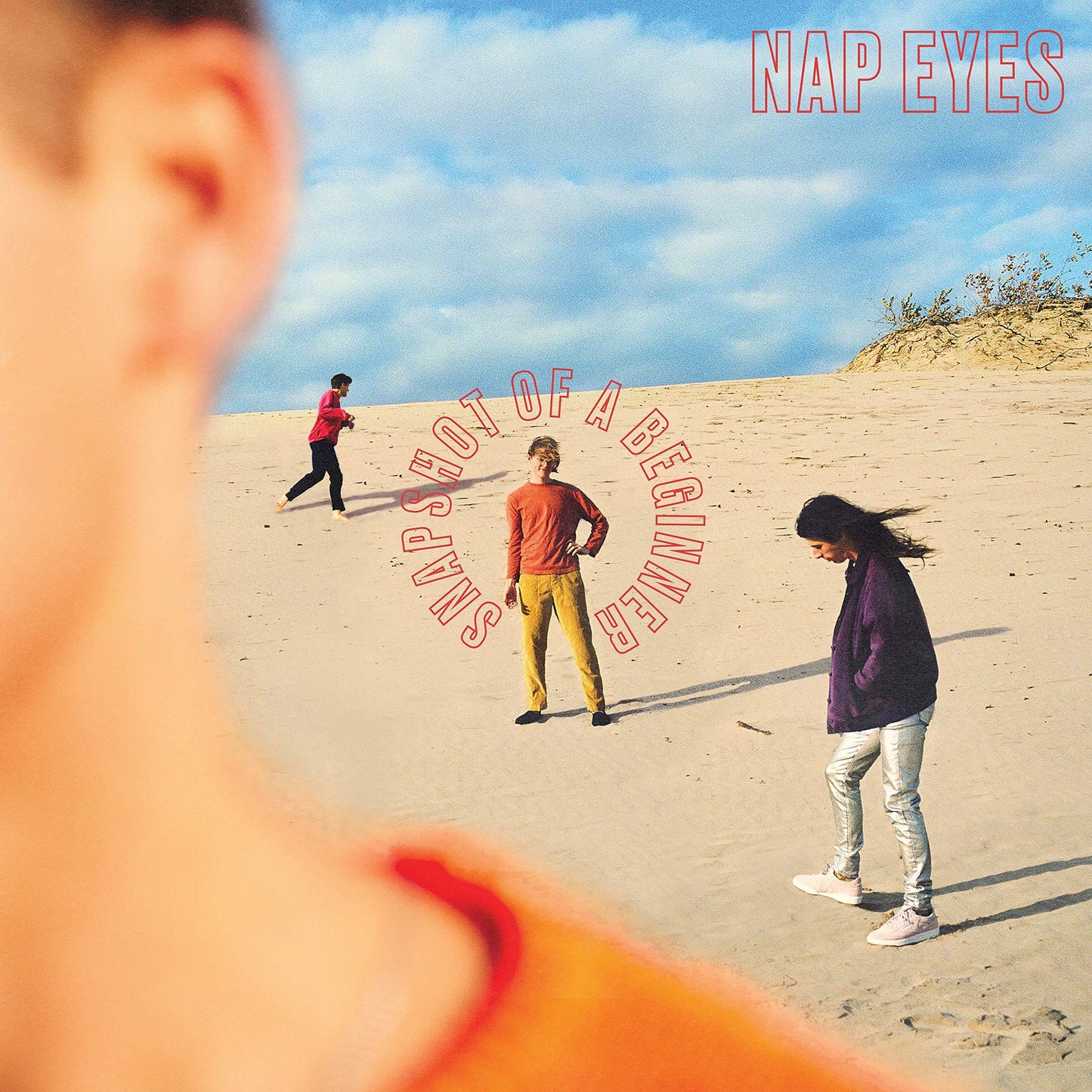 Nap Eyes - Snapshot of A Beginner - Lp