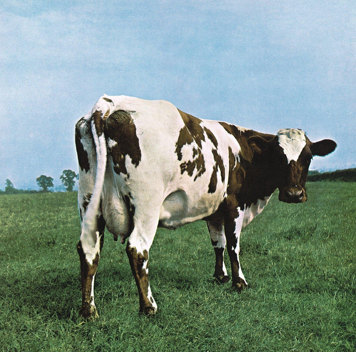 Pink Floyd - Atom Heart Mother - Lp