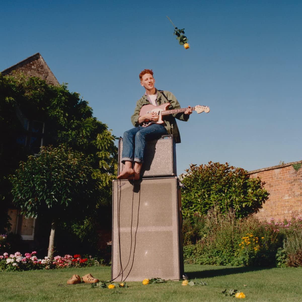 Willie J Healey - Twin Heavy - Lp