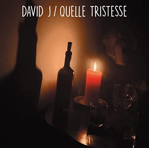 David J - Quelle Tristesse - 7 Inch