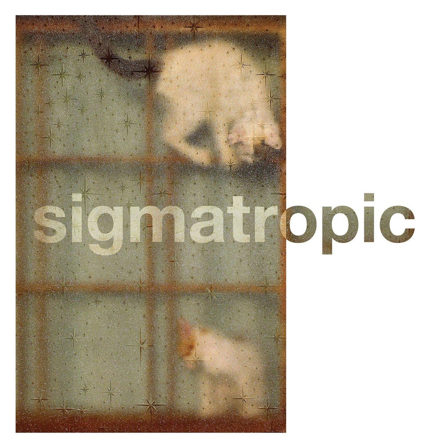 Sigmatropic - Every Soul Is A Boat - 12 Inch