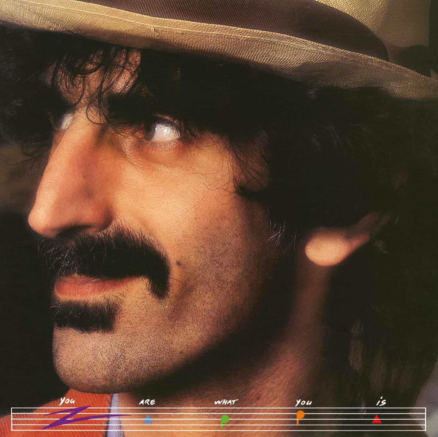 Frank Zappa - You Are What You Is - Cd