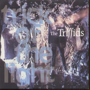 Triffids (Aussie Group) - Trick Of The Light - 7 Inch
