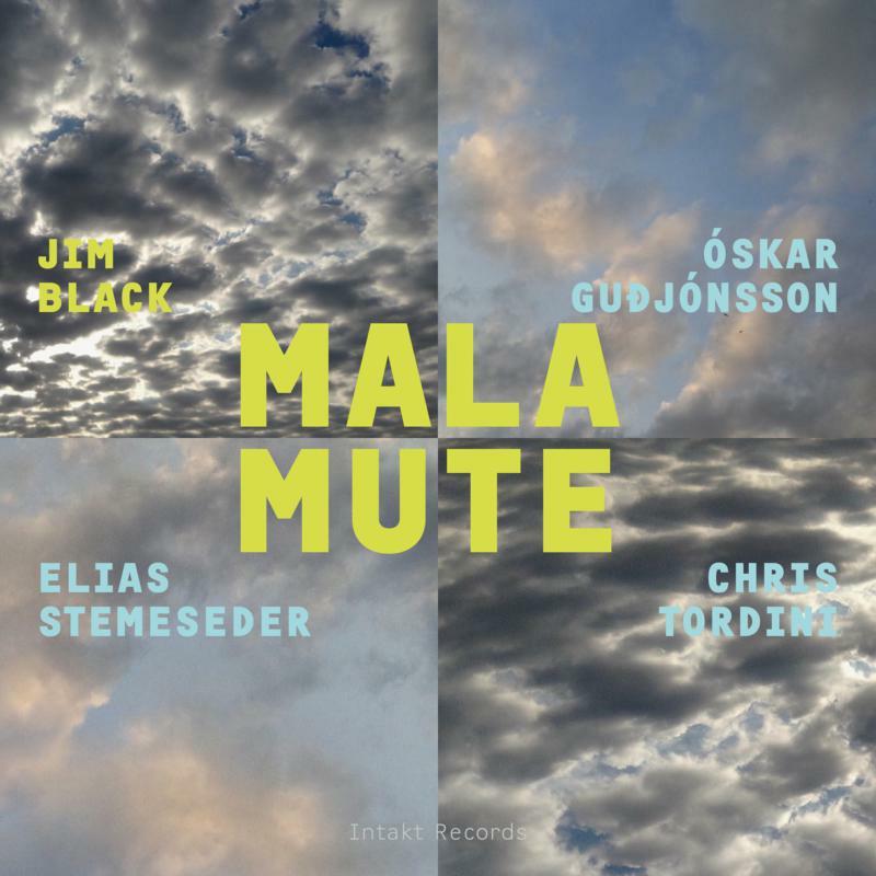 Jim Black - Malamute - Cd