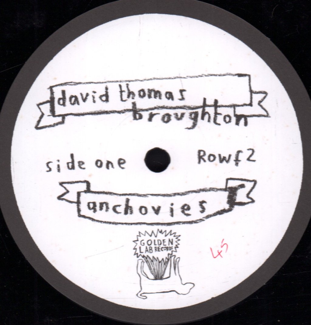 David Thomas Broughton - Anchovies - 10 Inch