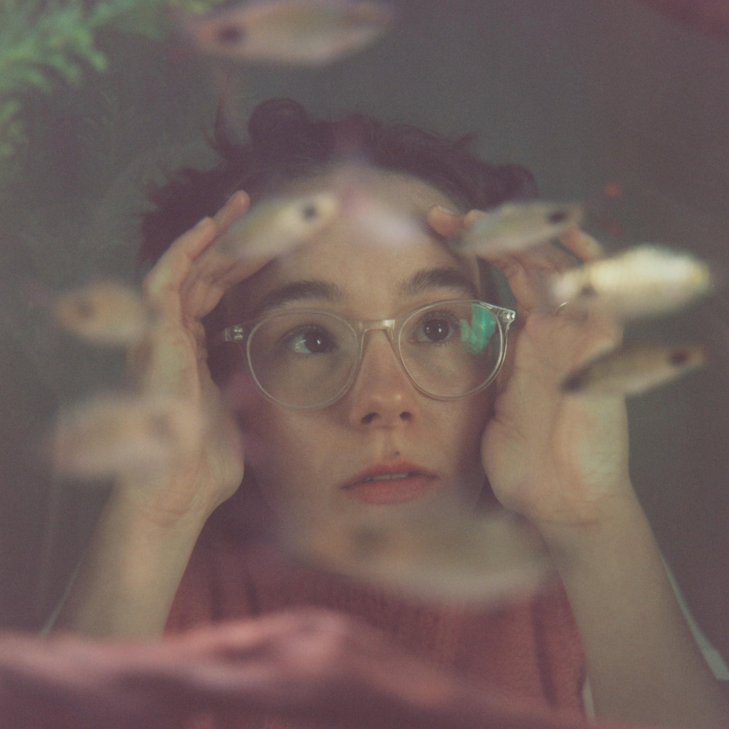 Morgan Harper-Jones - Up To the Glass - Lp