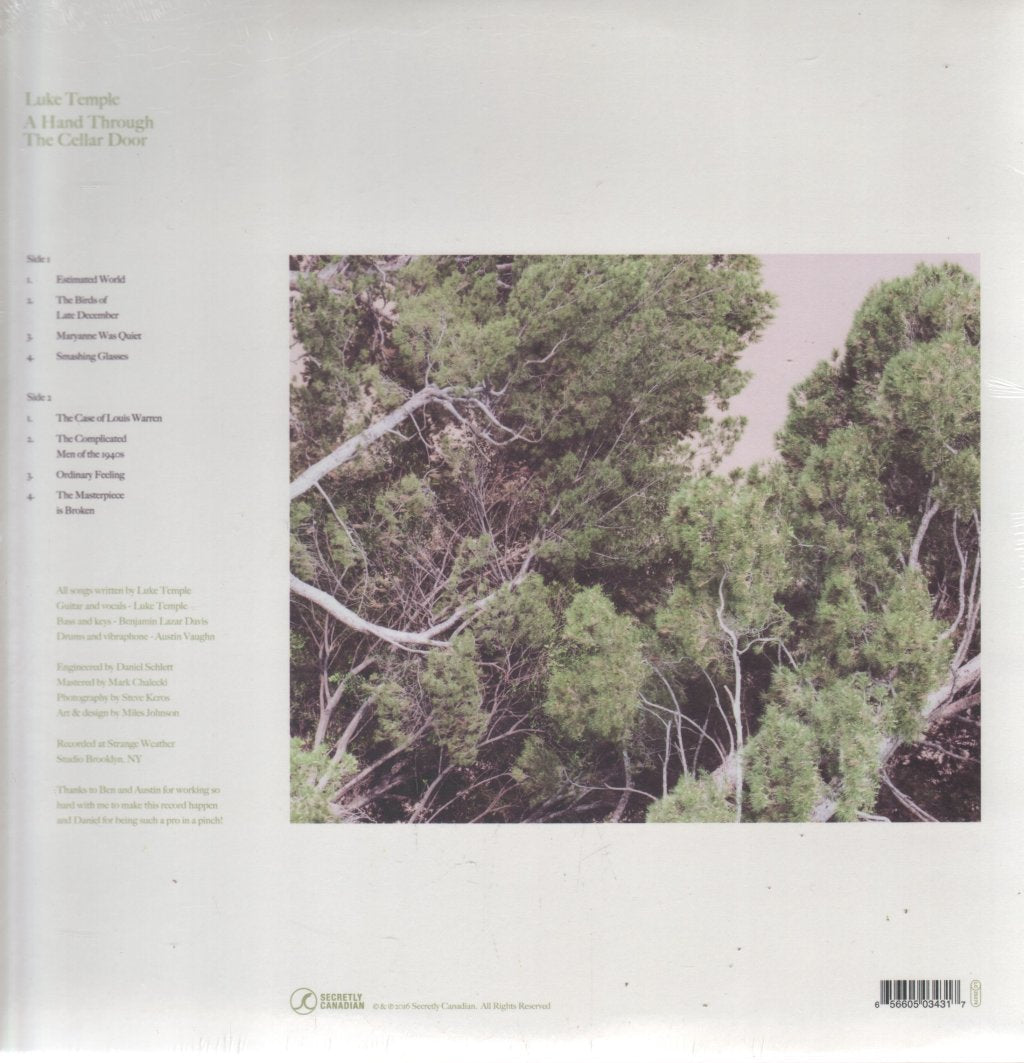 Luke Temple - A Hand Through The Cellar Door - Lp
