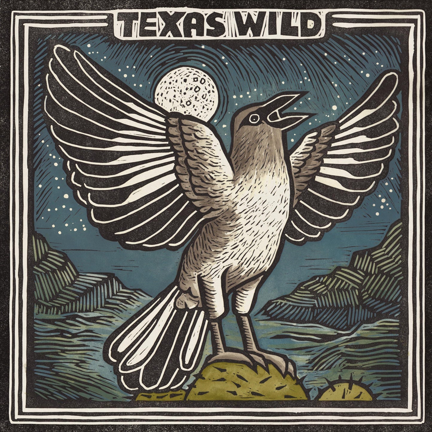 Various Artists - Texas Wild - Lp