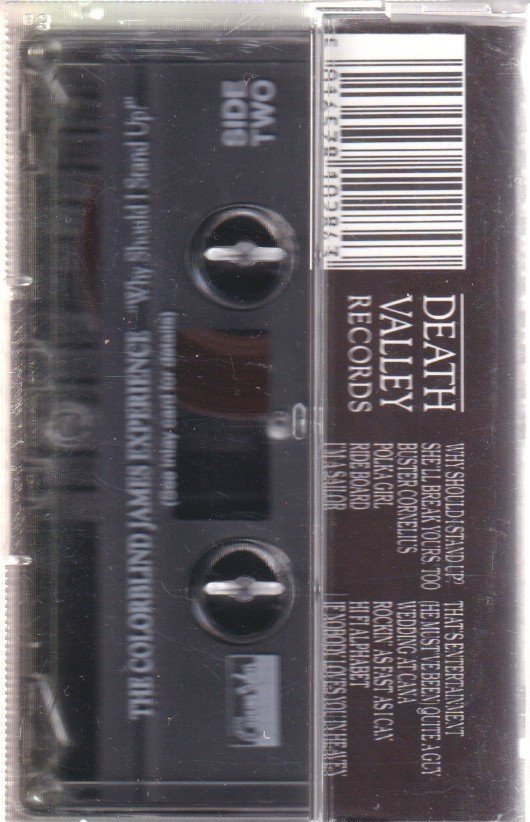 Colorblind James Experience - Why Should I Stand Up - Cassette