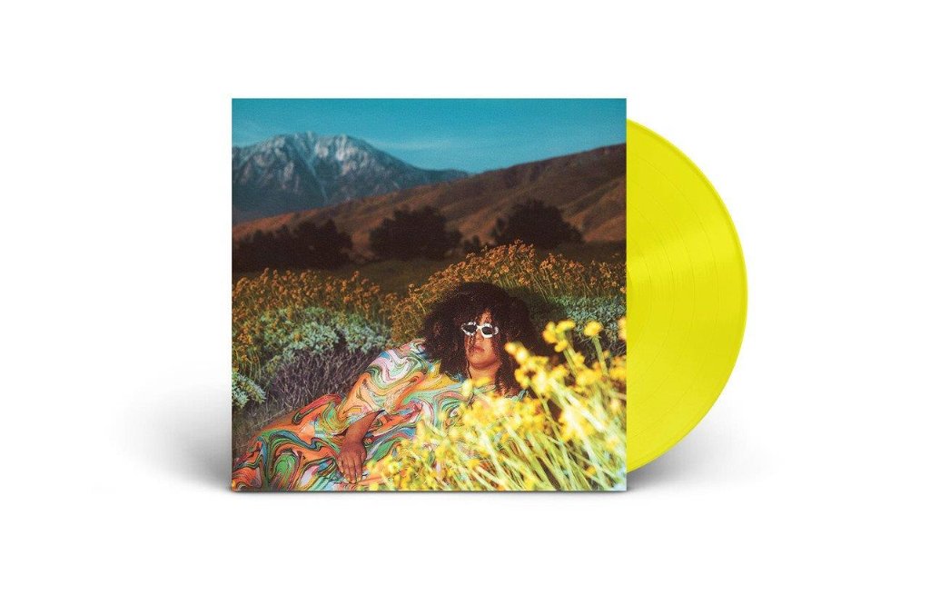 Brittany Howard - What Now - Lp