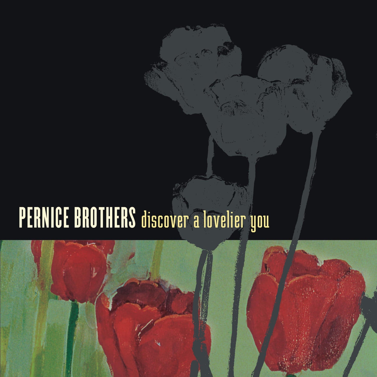 Pernice Brothers - Discover A Lovelier You - Cd