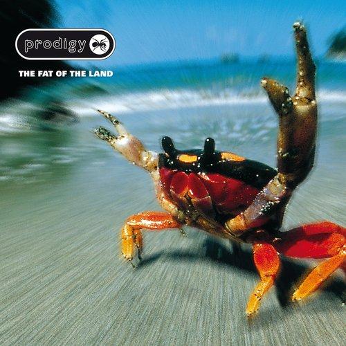 Prodigy - Fat of the Land - Cd
