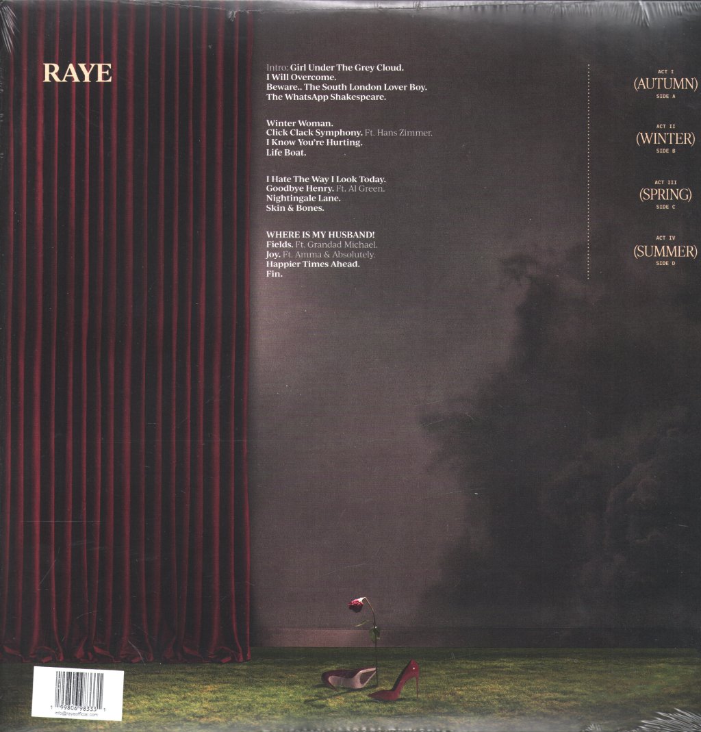 Raye - THIS MUSIC MAY CONTAIN HOPE. - Double Lp
