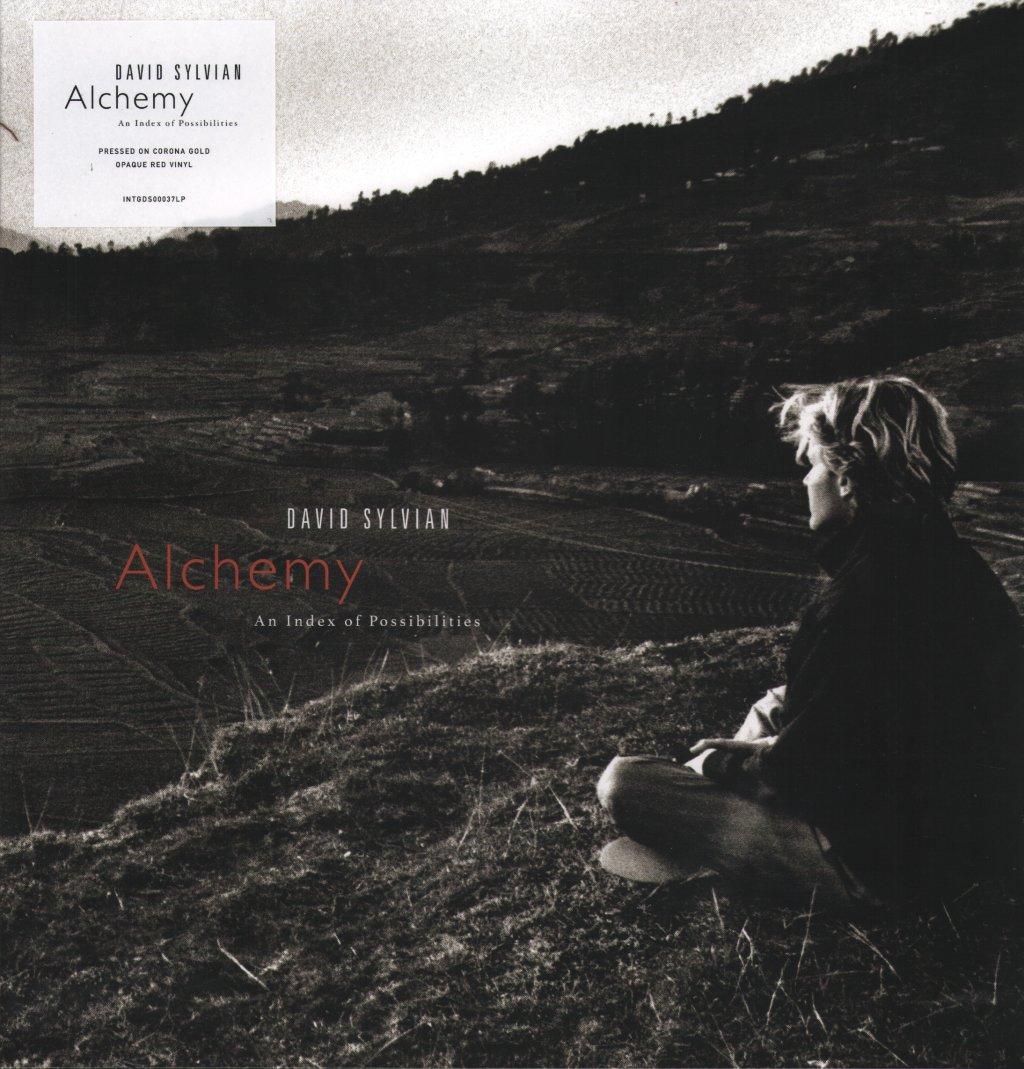 David Sylvian and Jon Hassell - Alchemy: An Index of Possibilities - Lp