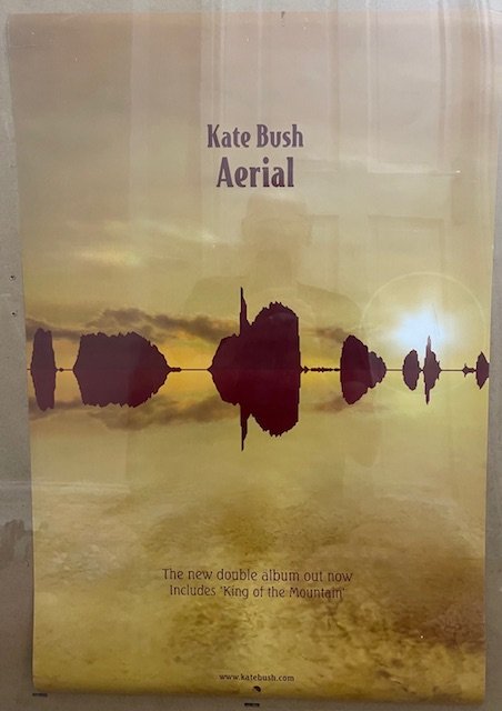 Kate Bush - aerial - Poster
