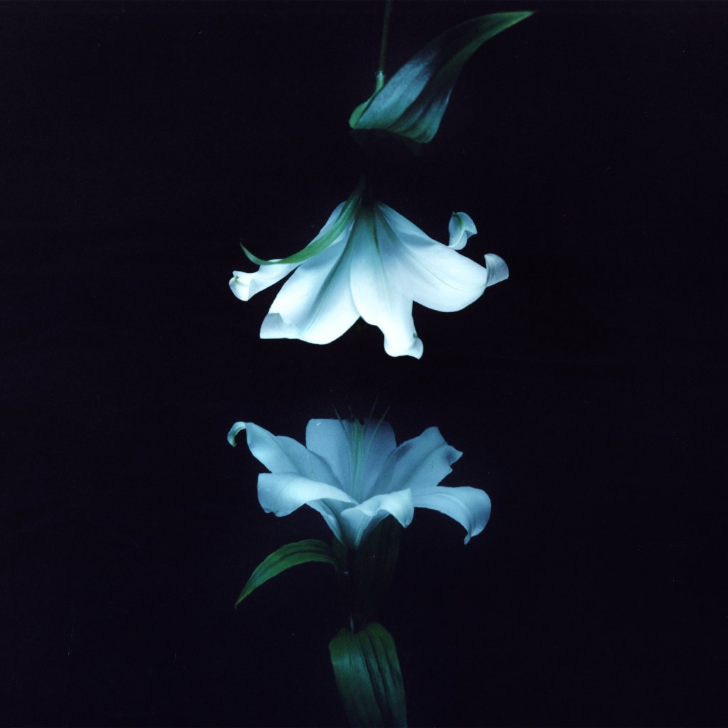Wasia Project - Nocturne - Double Lp
