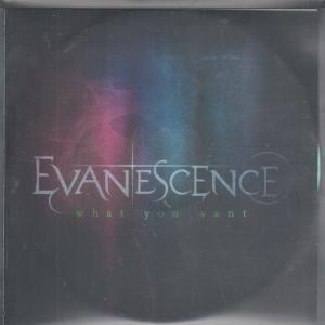 Evanescence - What You Want - Cdr