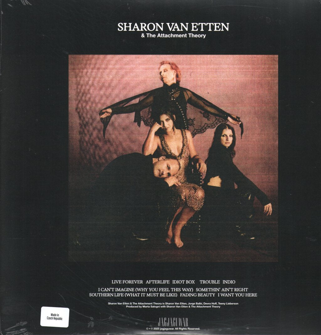 Sharon Van Etten & The Attachment Theory - Sharon Van Etten & The Attachment Theory - Lp