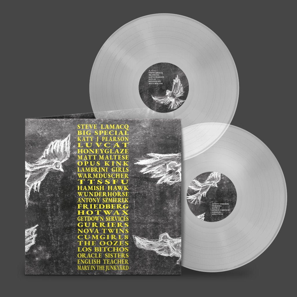 Various Artists - A Hideous Collective - Double Lp